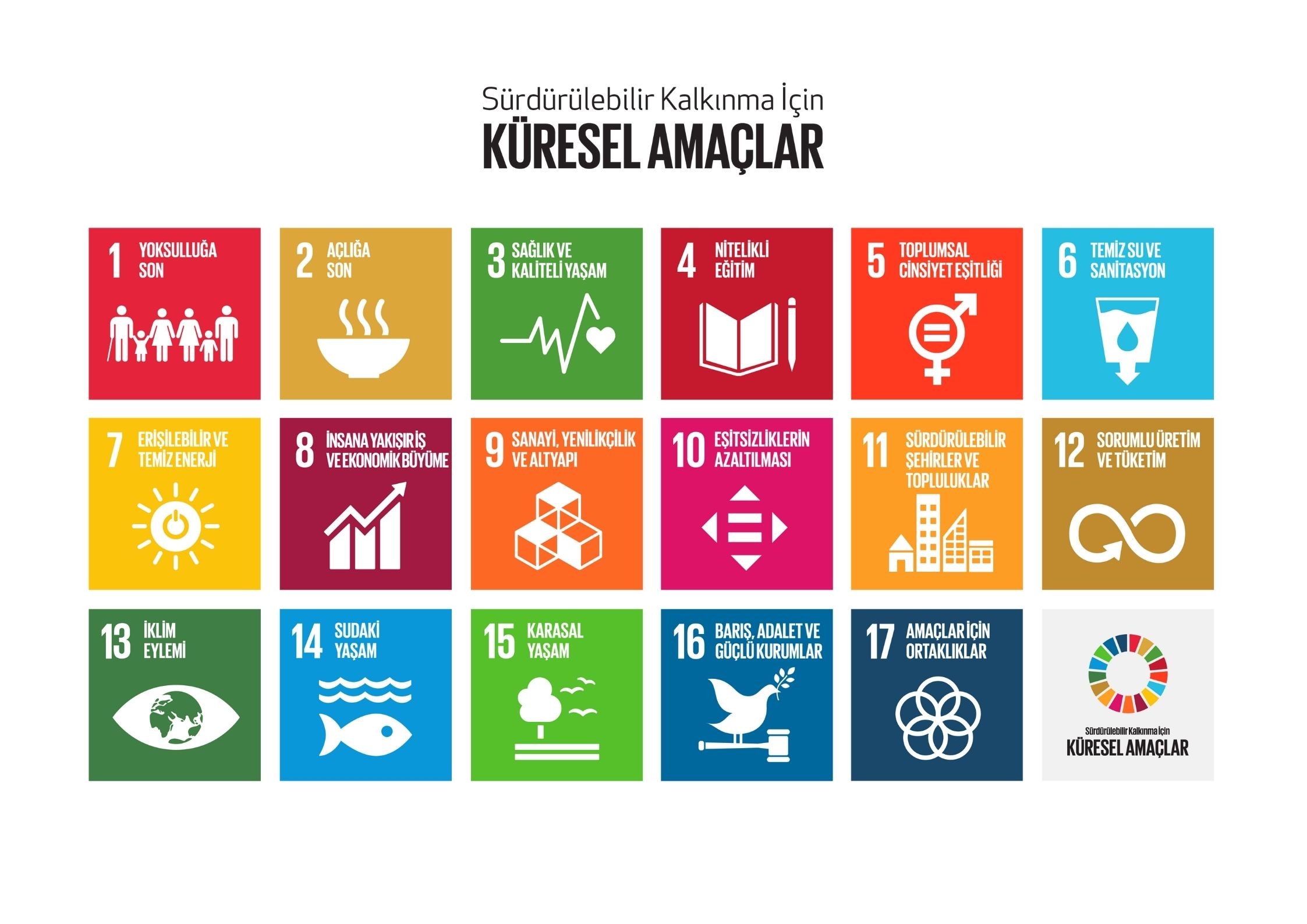 BM K&uuml;resel Ama&ccedil;lar